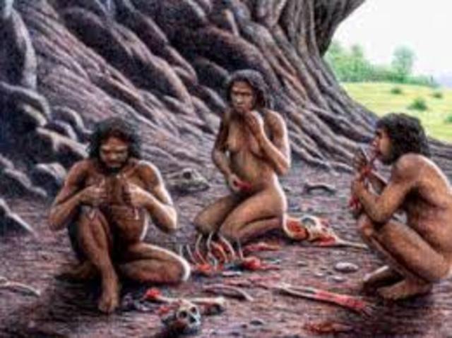 Homo Antecessor, hace unos 900.000 años