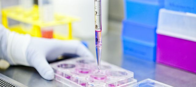 VAX004 se prueba por primera vez.