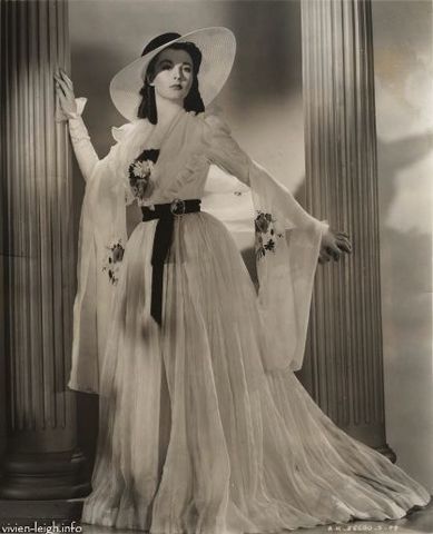 The Manderley Nancy Dress Ball