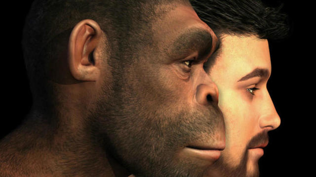 Fuentes de información