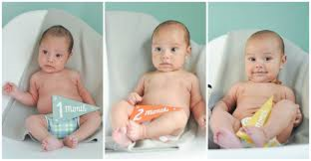 Development 0-3 Months