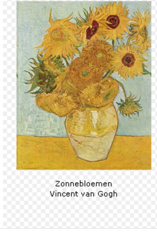 Zonnebloemen
