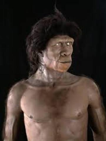 Homo ergaster desde. 1.8 M.A.hasta 1.3 M. a