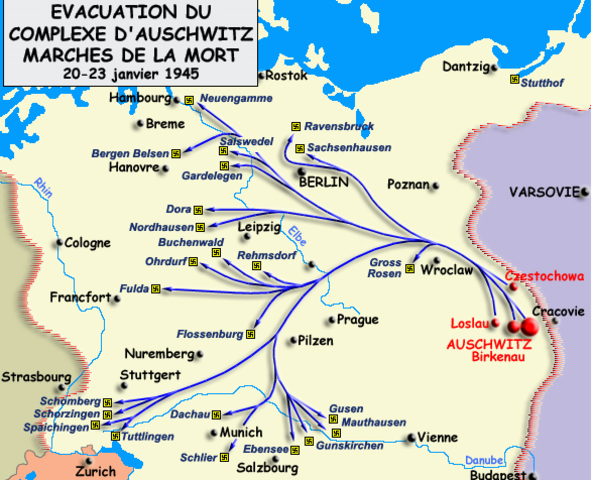 Libération d'Auschwitz