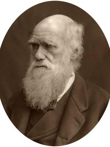 Charles Robert Darwin