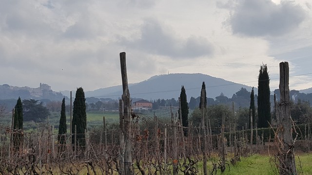 Treaty of Guadalupe Hidalgo