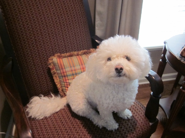 Nosotros recibímos Palucci.