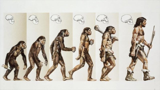 De hipótesis a teoría