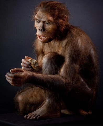 HOMO HABILIS (HACE 2 MILLONES DE AÑOS)