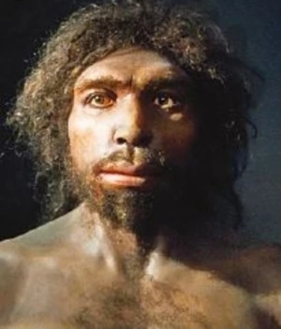HOMO ANTECESSOR (HACE