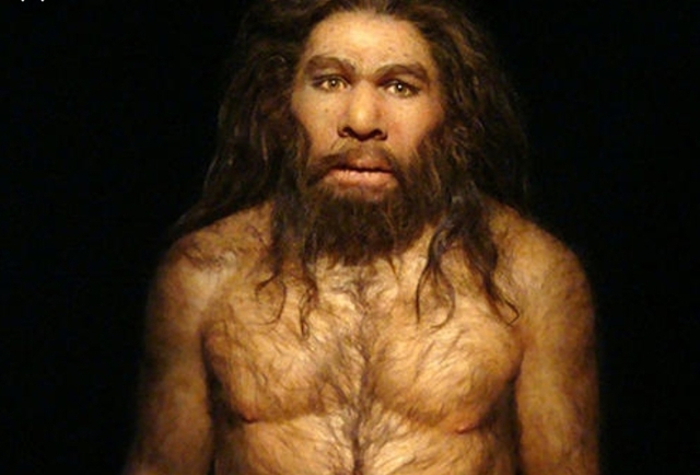HOMO NEANDERTHALENSIS (HACE 230000 - 40000 AÑOS)