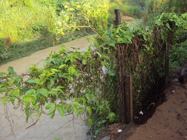 Chuva provoca danos no Niterói