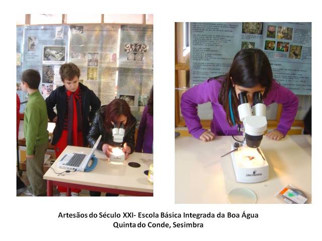 Artesãos do século XXI (Artisans of the 21st Century)