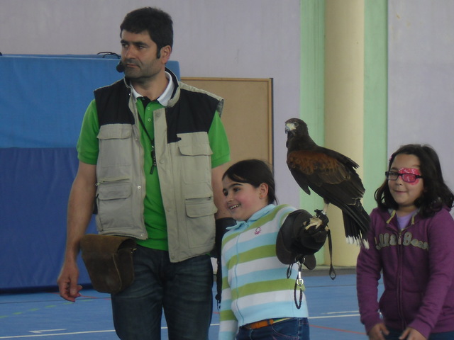 Ambifalco: A "Penas" vem à escola (Ambifalco: "Penas" is coming to school)