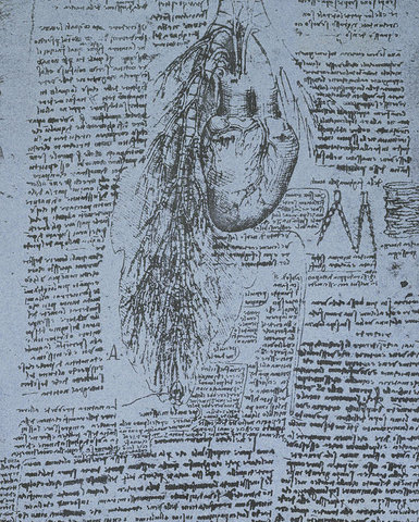 Leonardo Da Vinci's Research