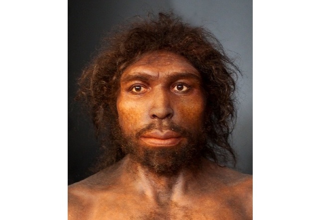 Homo Antecessor