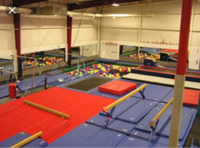 Comencé a hacer gimnasia.