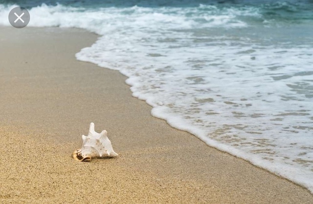 Fui a la playa por primera vez.