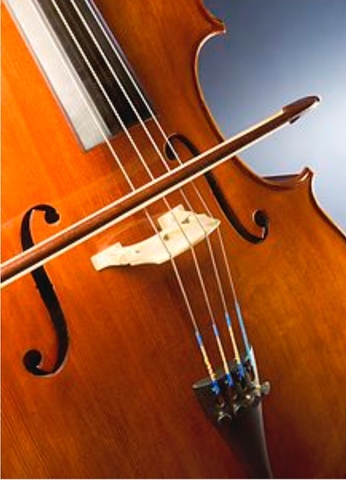 Comencé a aprender el vionchelo.