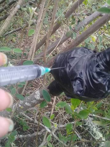 Riego de los acodos aereos