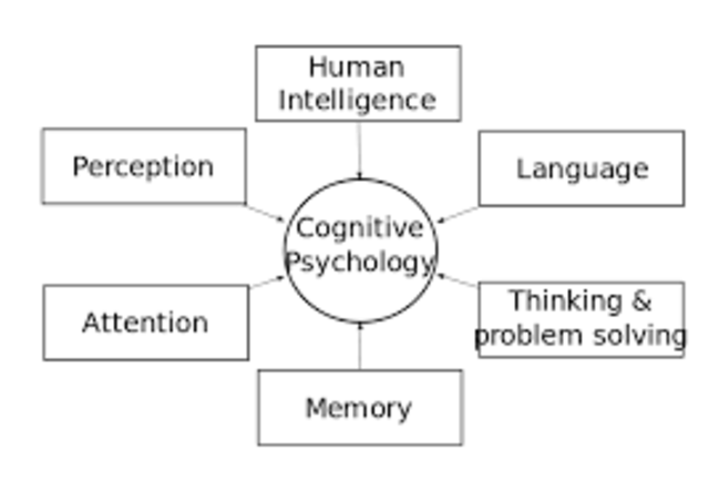 Cognitive Psychology