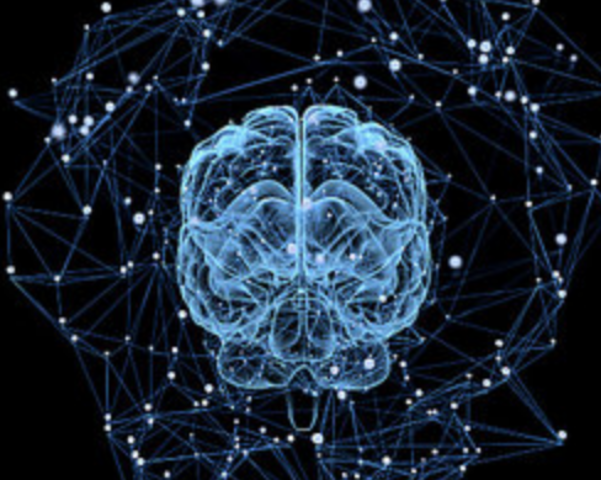 Cognitive Psychology