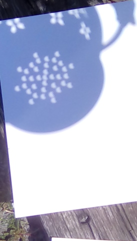 Vi un eclipse de el sol