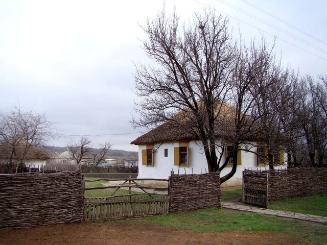 В 1919 году Шолоховы возвращаются в Каргин