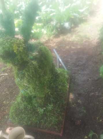 Extructura en general con el cuidado adecuado.