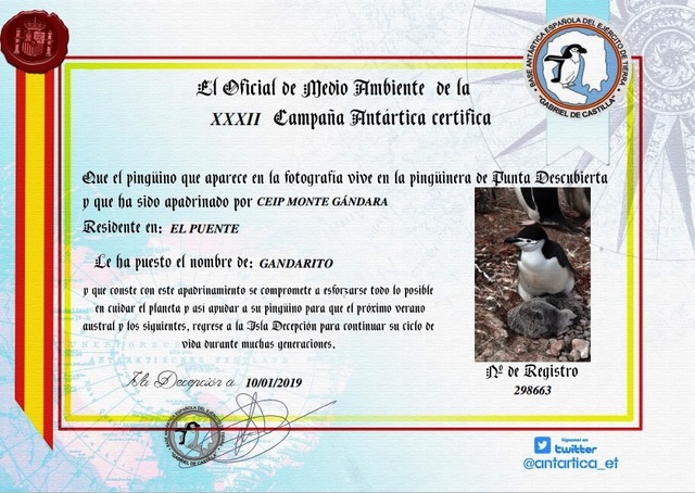 Apadrinamiento de un pingüino