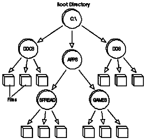 File Management Systems