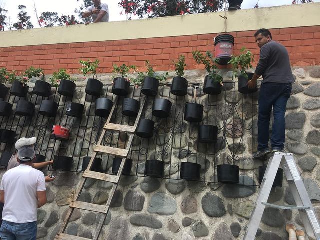 colocación del sustrato