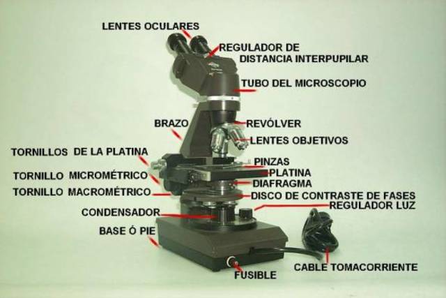 Microscopio Contraste de Fases