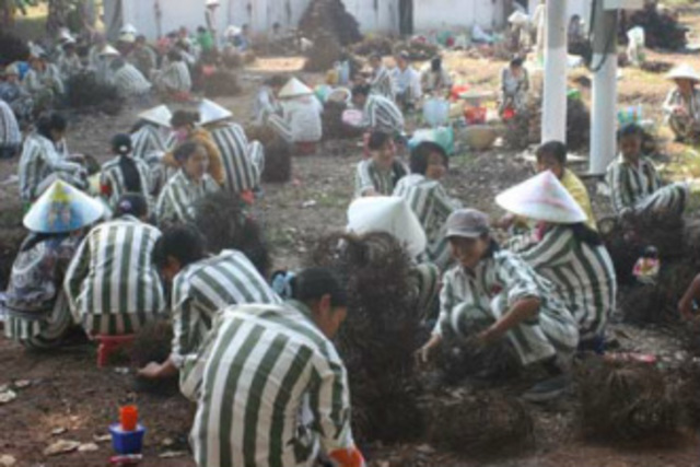 The start of weakness