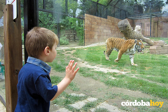 Primer dia de cole pel Nil