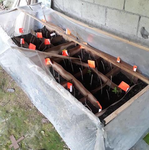 Seguimiento del proyecto.