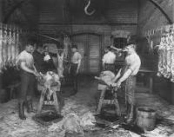 Slaughterhouse Cases