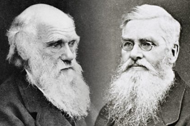 Charles Darwin e Alfred Russel Wallace