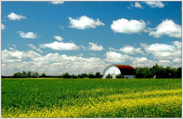 Life on the Prairies