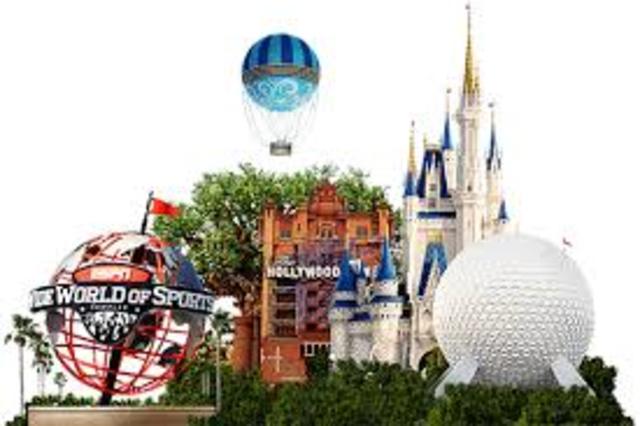 My Team Went To Florida