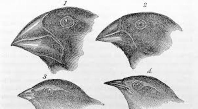 Notes From The Voyage