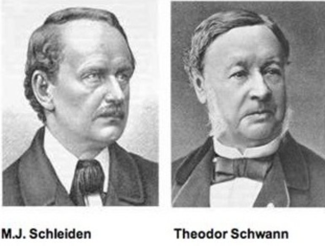 Schleiden y Schwann