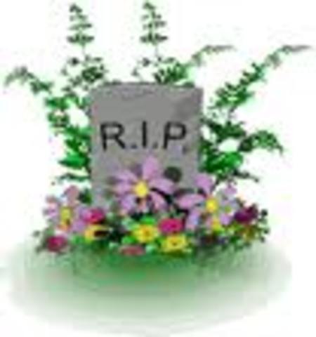 My First Experience With Death!