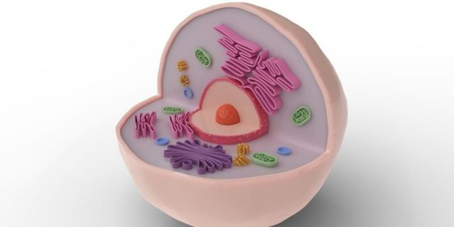 Lynn Margulis explica el origen de la célula eucariota