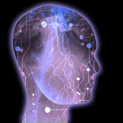 Intelligence collective