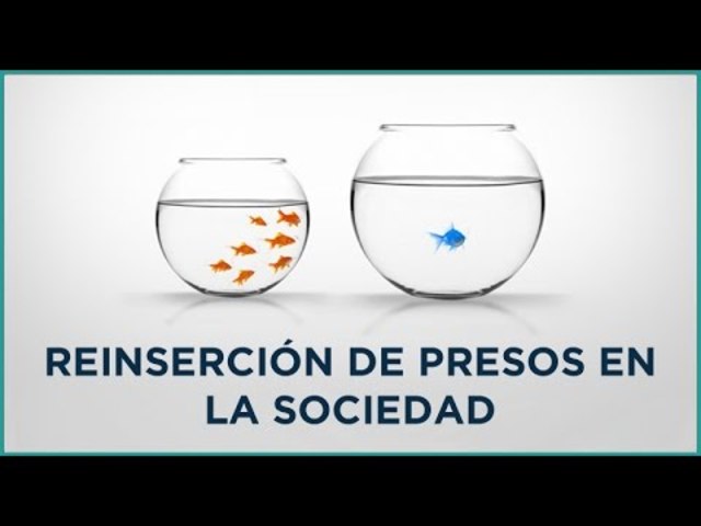 Reinserción social