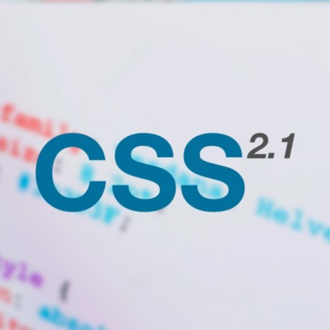 CSS 2.1 gomendio bezala ateratzen da