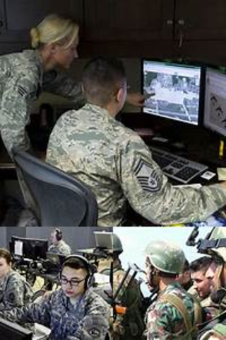 Senior pogram analyst