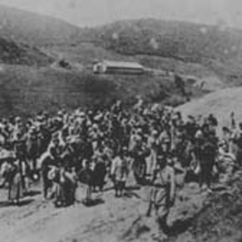 The Armenian Genocide