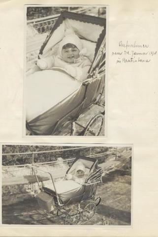 bela weichherz diary entry